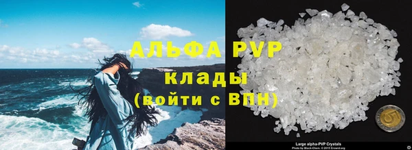 спиды Новодвинск