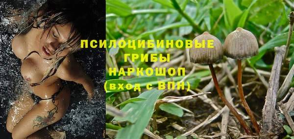 герыч Няндома