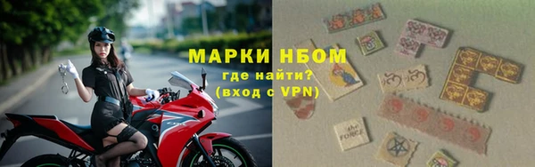 спиды Новодвинск