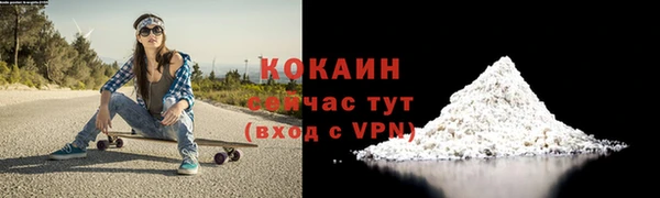 шишки Нязепетровск
