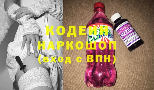 шишки Нязепетровск