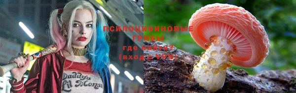 jwh Новокубанск