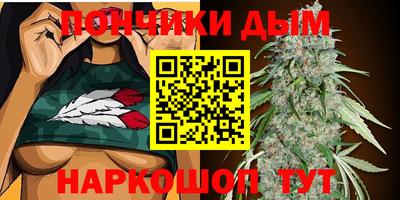 стаф Аргун