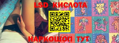 стаф Аргун