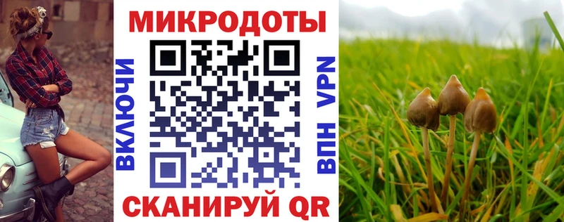 Псилоцибиновые грибы GOLDEN TEACHER  мега ссылка  Коркино  цена  