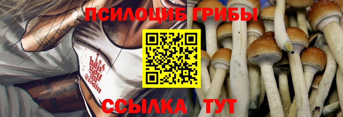 Коркино  Псилоцибиновые грибы мухоморы  Галлюциногенные грибы Magic Shrooms  Вход с VPN 